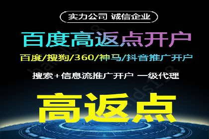 搜索引擎营销（SEM）公司某某的客户成功故事