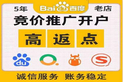 百度SEO推广案例：实战解析与优化建议
